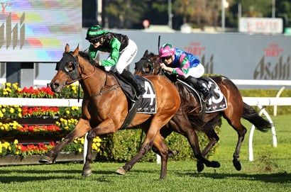 Big Bets for 28.06.2025