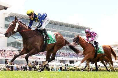 Big Bets for 29.11.2025
