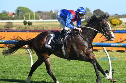 Big Bets for 30.05.2026