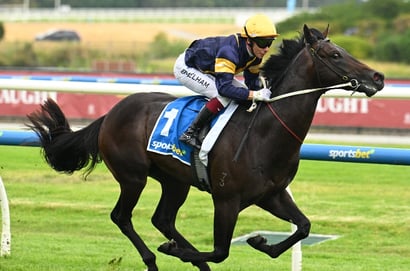 Caulfield Blackbookers January 31 – Horses to follow from Saturday racing at Caulfield