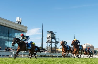 Caulfield Blackbookers March 14 – Horses to follow from Peter Young Stakes Day