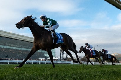 Caulfield Blackbookers - Saturday, August 30
