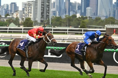 Flemington Blackbookers February 28 – Horses to follow from Australian Guineas Day