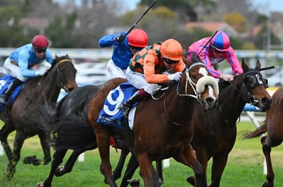 Bletchingly Stakes