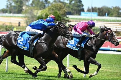 Blue Diamond Stakes 2026 Betting Tips - Is Guest House Ready to Fire?