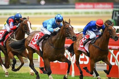 Blue Diamond Stakes 2025 Betting Tips - Will Ciaron win his first Blue Diamond?