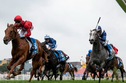 Blue Diamond Stakes 2025 - Barrier Draw & Final Field