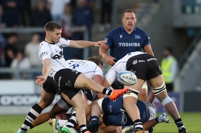 Bristol Bears