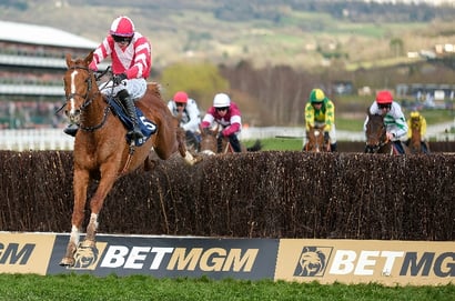 2026 Brown Advisory Novices' Chase Live Stream - Watch the Cheltenham Festival race online
