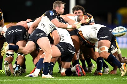 Brumbies Super Rugby