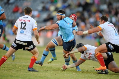 Bulls currie cup rugby