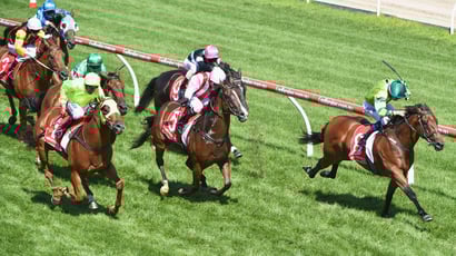 Bunbury Tips for 08.03.2025
