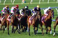 Bunbury Tips for 14.08.2025