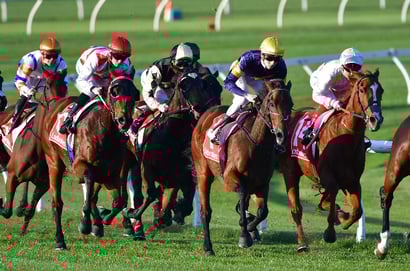 Bunbury Betting Tips for August 14, 2025 - The name's Bond... Centre Bond