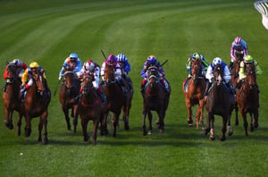 Bunbury tips for 13.08.2026