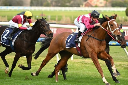 Caulfield Cup 2026 Betting Tips - A Cosmic Cup Conquest