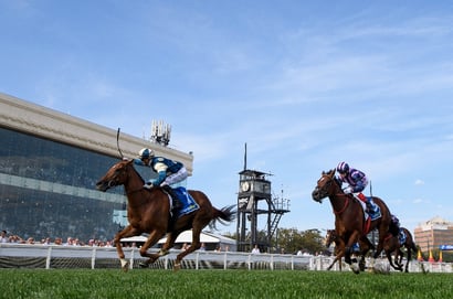 CF Orr Stakes 2025 - Barrier Draw & Final Field