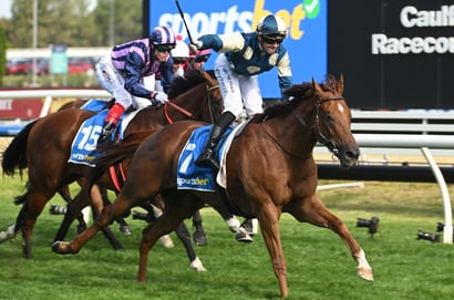 CF Orr Stakes 2025 Betting Odds - Jimmysstar Shades Angel Capital
