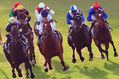 Canterbury Racing Tips for August 5 - Snack Bar can win, down in grade today
