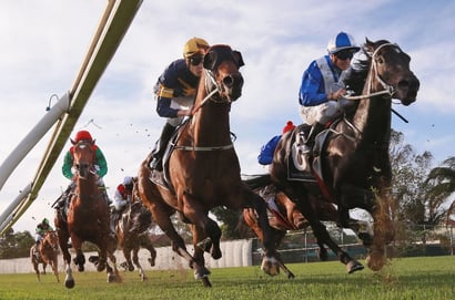 Canterbury Horse Racing