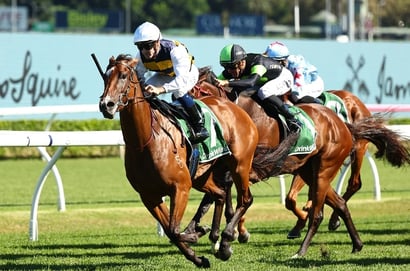 Canterbury Stakes Tips - Sunshine In Paris can overcome the wide barrier in Canterbury Stakes
