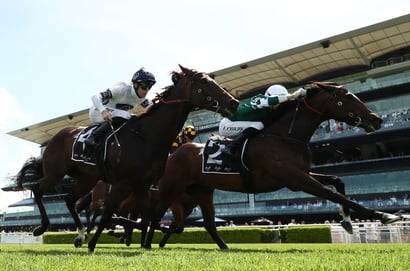 Canterbury Stakes Odds