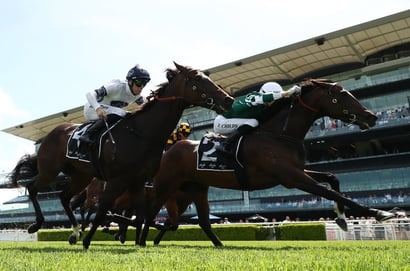 Canterbury Stakes Tips