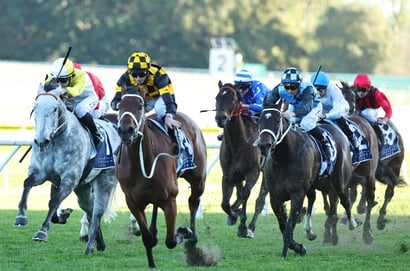 Canterbury Stakes odds