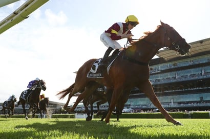 Canterbury Stakes tips