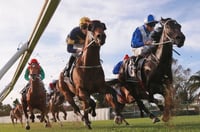 Canterbury Tips for 06.08.2025