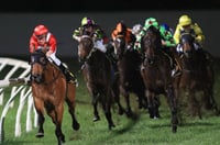 Canterbury Tips for 07.02.2025