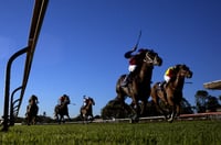 Canterbury Tips for 09.06.2025