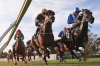 Canterbury Tips for 09.07.2025
