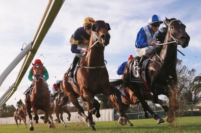 Canterbury Tips for 09.07.2025