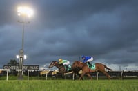 Canterbury Tips for 14.02.2025