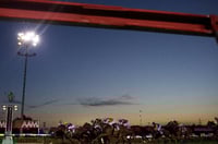 Canterbury Tips for 21.02.2025