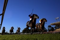 Canterbury Tips for 21.04.2025