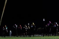 Canterbury Tips for 28.02.2025