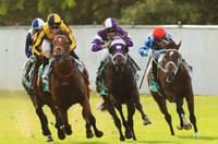 Canterbury Tips for 30.04.2025