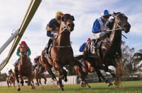 Canterbury tips - 08/06