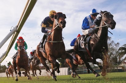Canterbury tips - 08/06