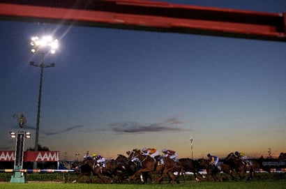 Canterbury tips for 12.12.2025