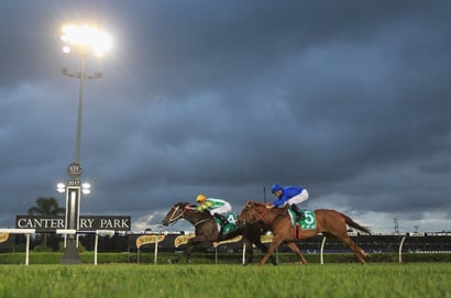 Canterbury tips for 14.11.2025
