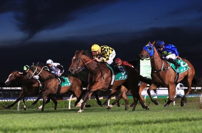 Canterbury tips for 28.11.2025