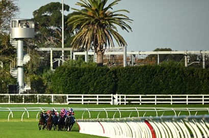 Caufield Heath Tips for 20.05.2026