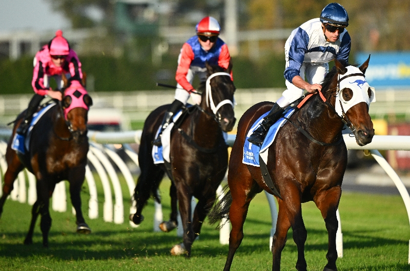 Caulfield Racing Tips for May 9 – Sayedaty Sadaty the value on Saturday ...