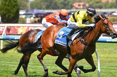 Caulfield Blue Diamond