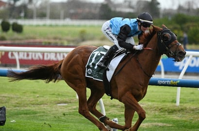 Caulfield Cup 2025 Betting Odds - Half Yours a Big Firmer