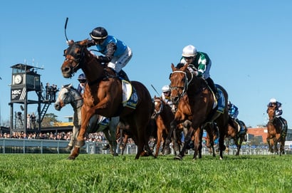 Caulfield Cup 2026 Betting Odds - Aeliana Favourite After Sydney Double