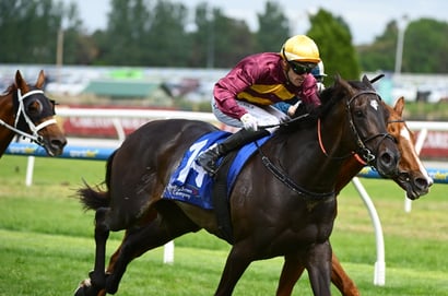 Caulfield Cup Tips